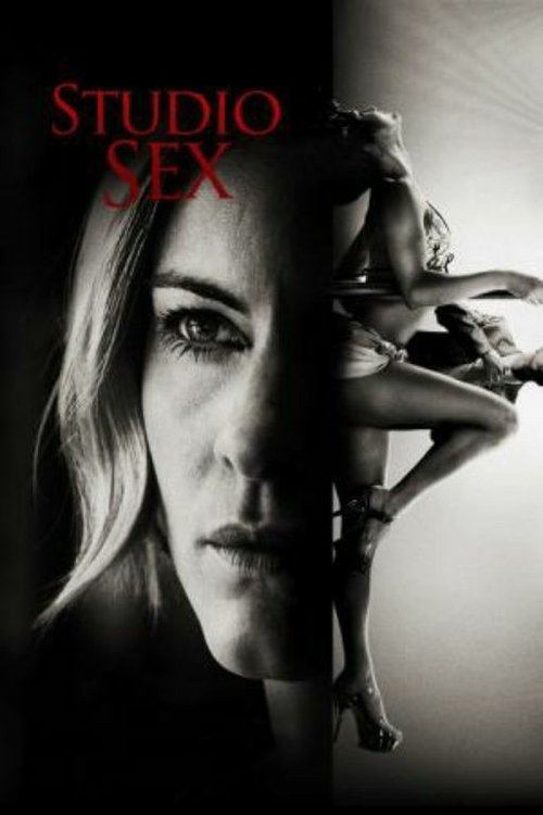 Annika Bengtzon: Crime Reporter – Studio Sex poster