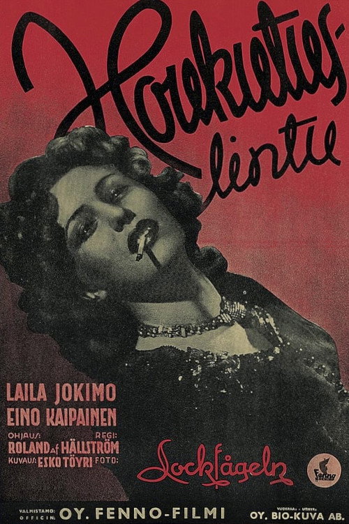 Houkutuslintu poster