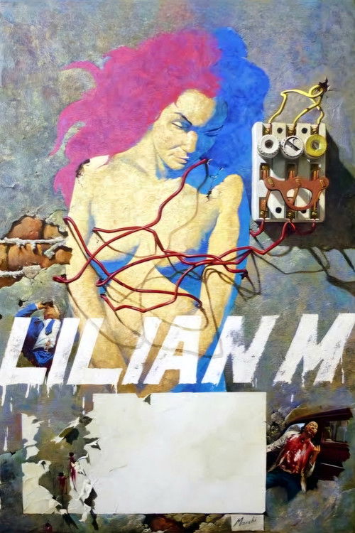 Lilian M: Confidential Report poster