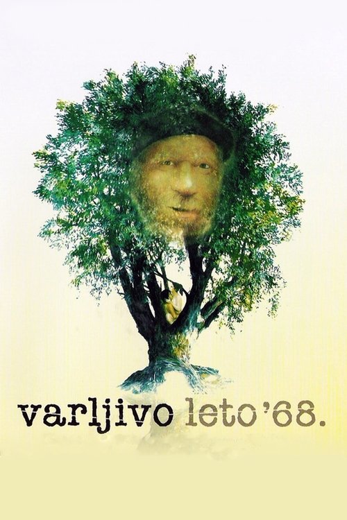 The Elusive Summer of ’68 poster