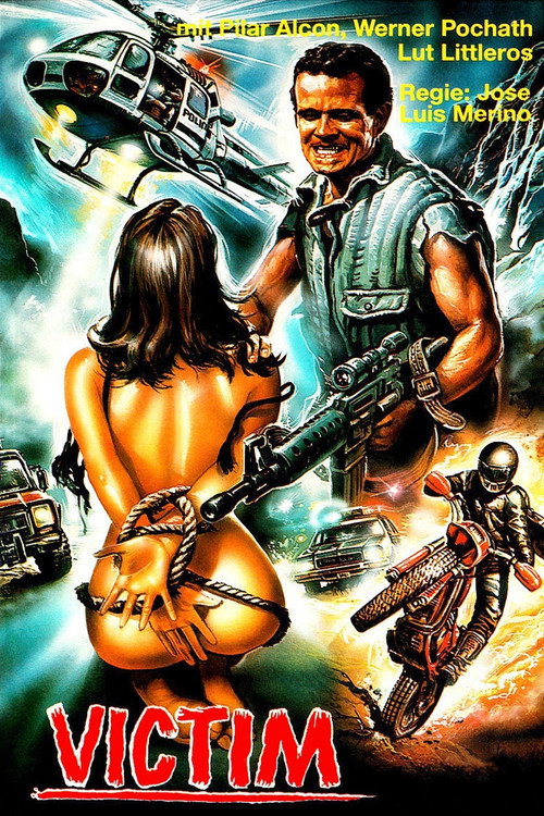 USA, violación y venganza poster