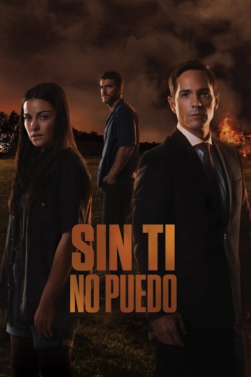 Can’t Live Without You poster