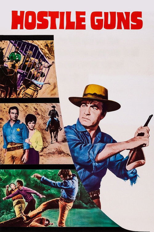 Hostile Guns poster