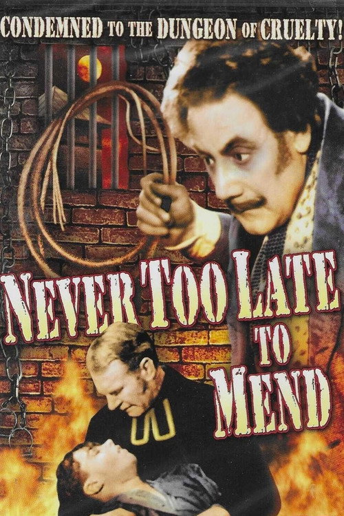 It’s Never Too Late to Mend poster