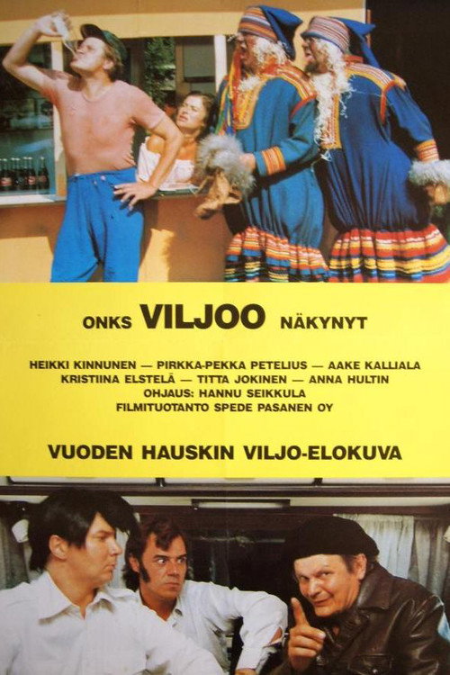 Onks’ Viljoo näkyny? poster