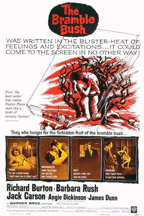 The Bramble Bush poster