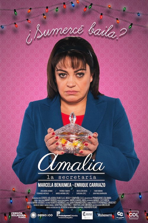 Amalia, la secretaria poster