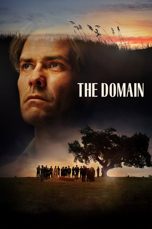 The Domain poster