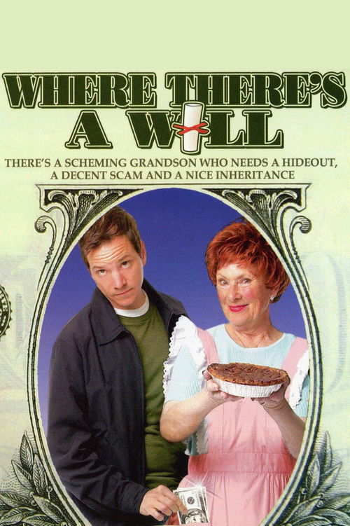 Where There’s a Will poster