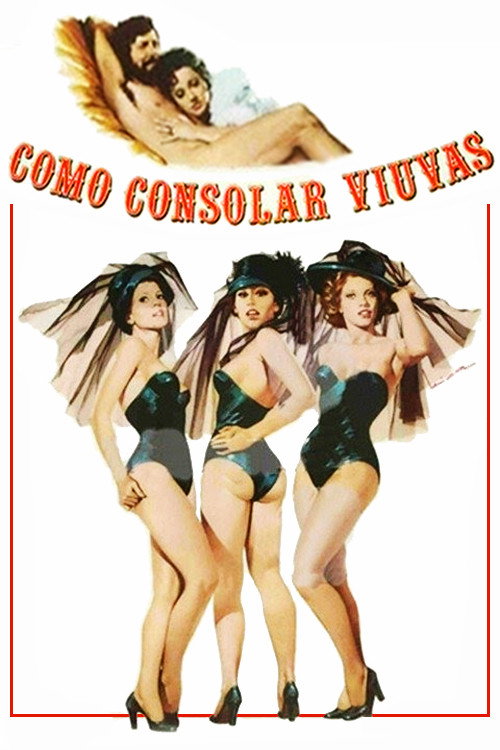 Consoling Widows poster