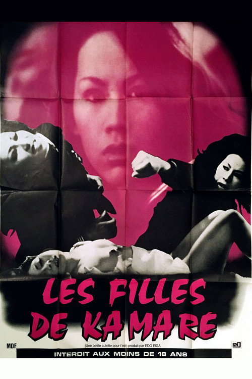 Girls of Kamare poster