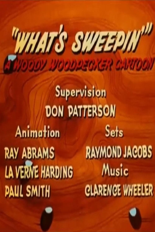 What’s Sweepin’? poster
