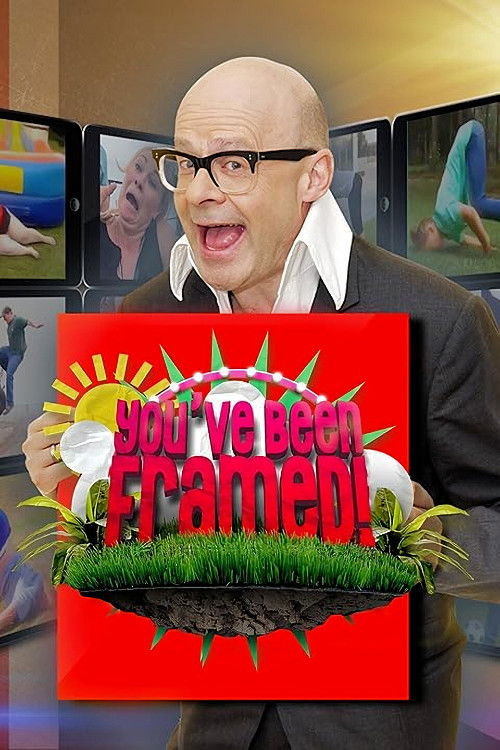 You’ve Been Framed! poster