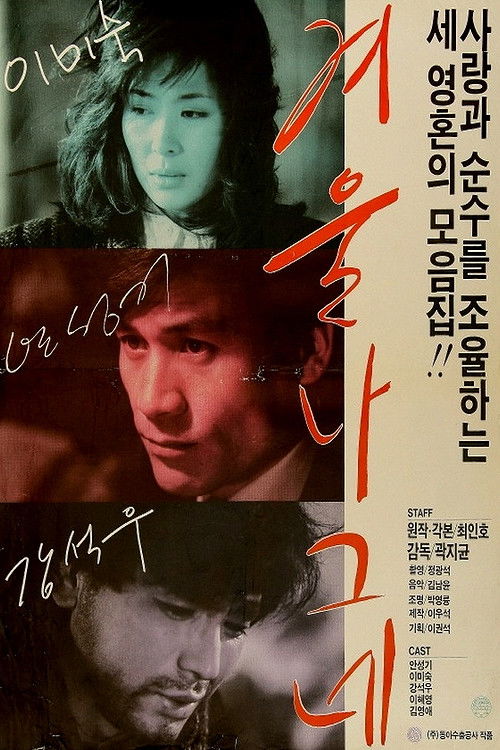 Winter Wanderer poster