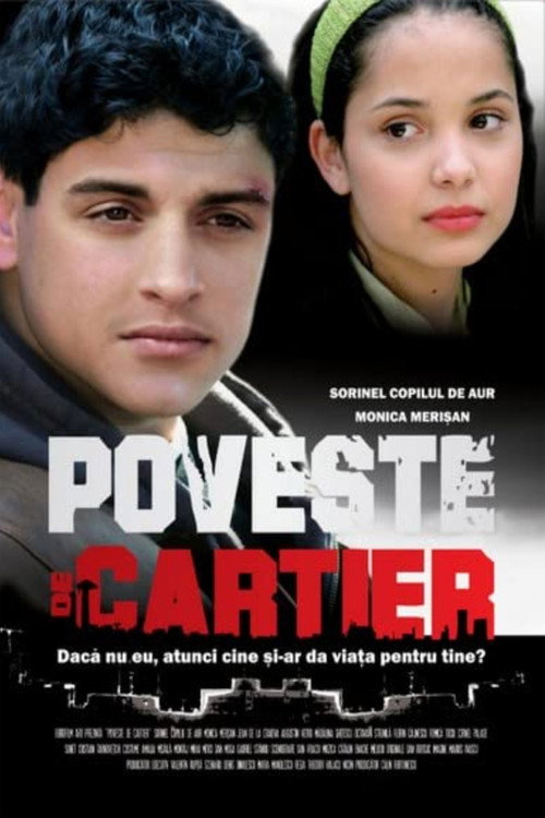 District Story poster