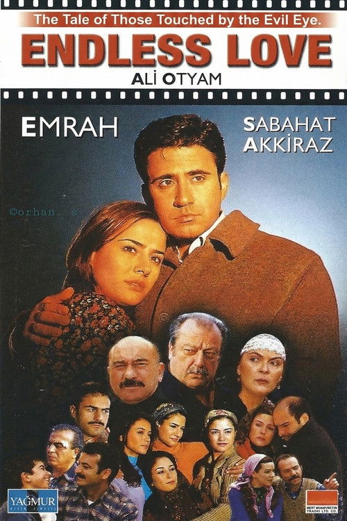 Endless Love poster