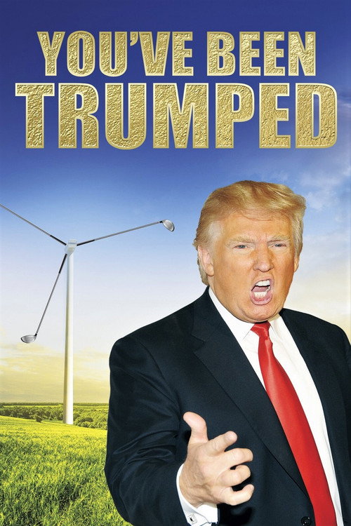 You’ve Been Trumped poster