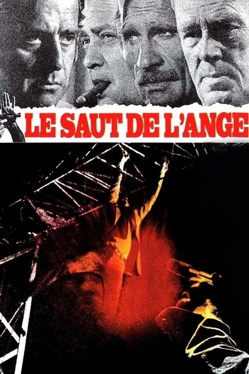 Angel’s Leap poster