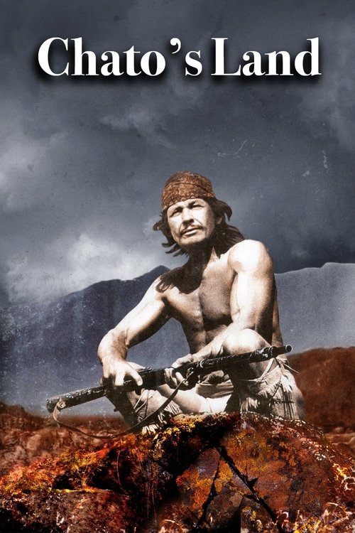Chato’s Land poster