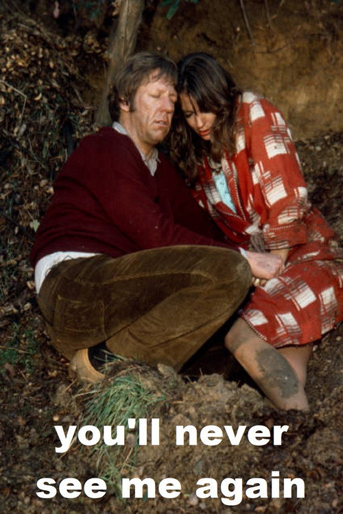 You’ll Never See Me Again poster