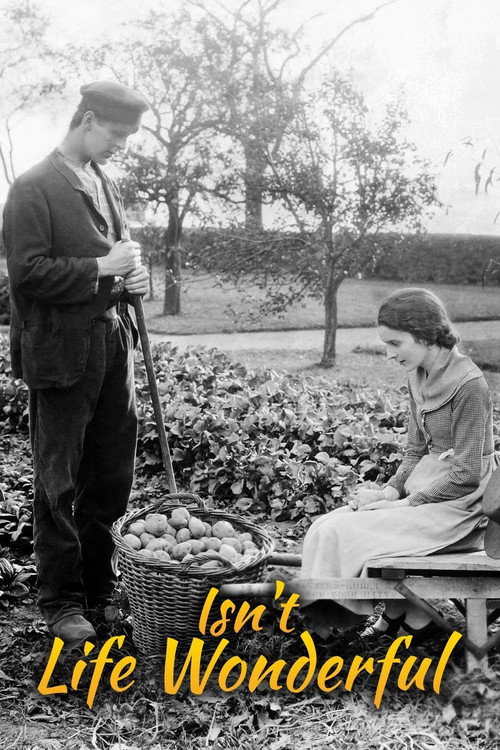 Isn’t Life Wonderful poster