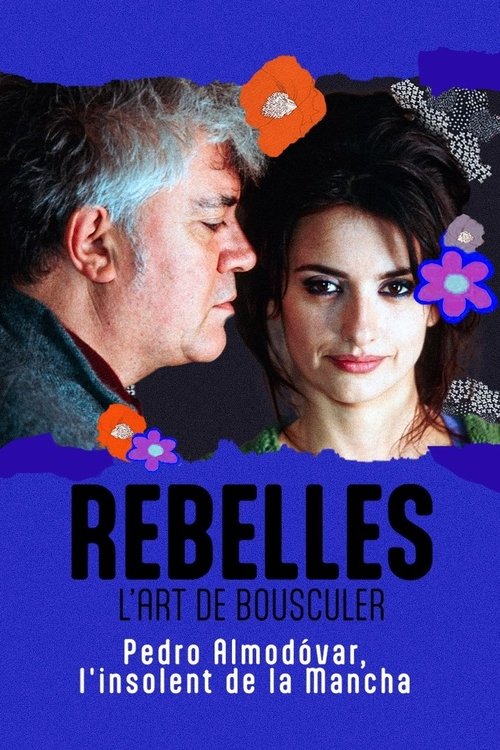 Almodóvar, l’insolent de la Mancha poster