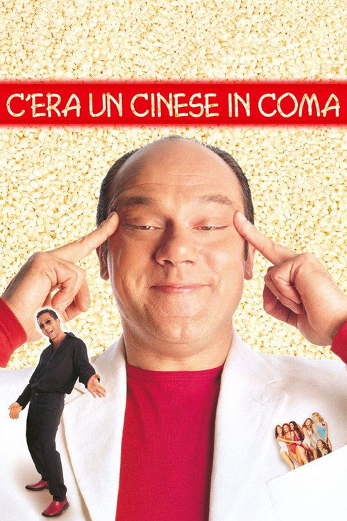 C’era un cinese in coma poster