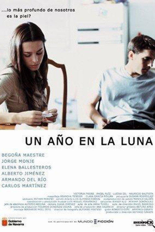 Un año en la luna poster