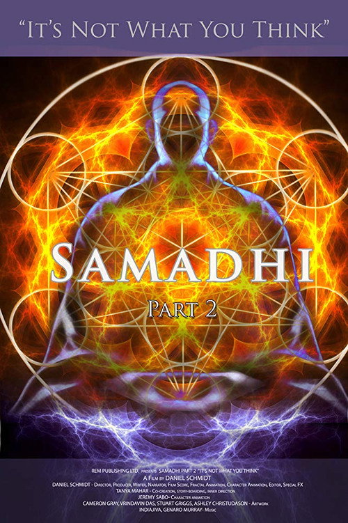 Samadhi Part 2: It’s Not What You Think poster