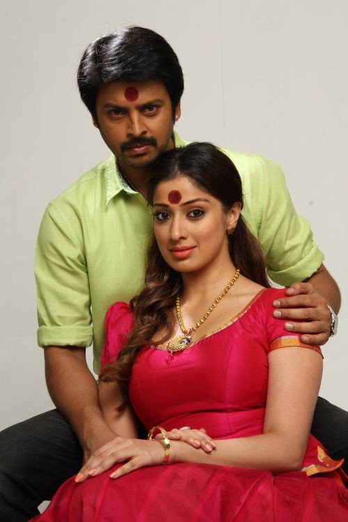 Sowkarpettai poster