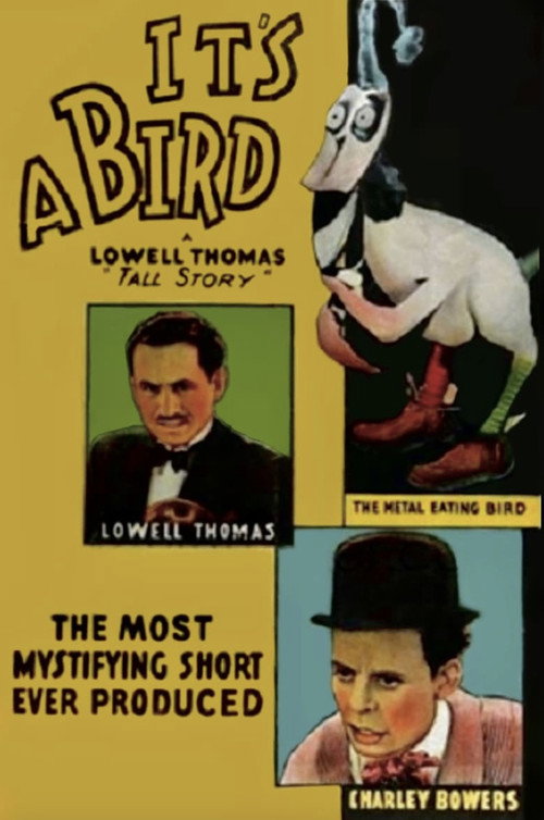 It’s a Bird poster