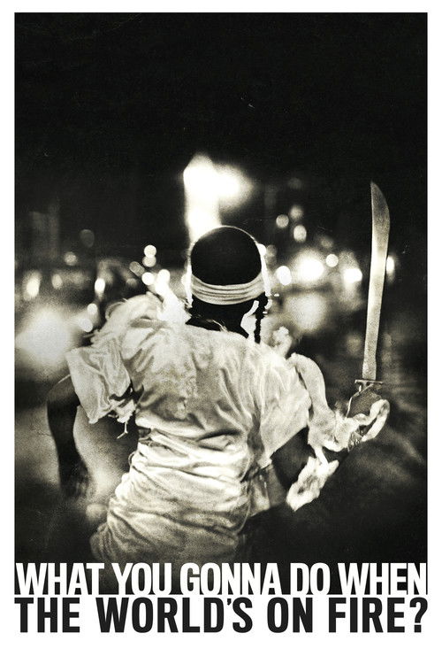 What You Gonna Do When the World’s on Fire? poster