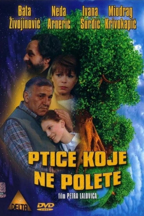 Some Birds Can’t Fly poster
