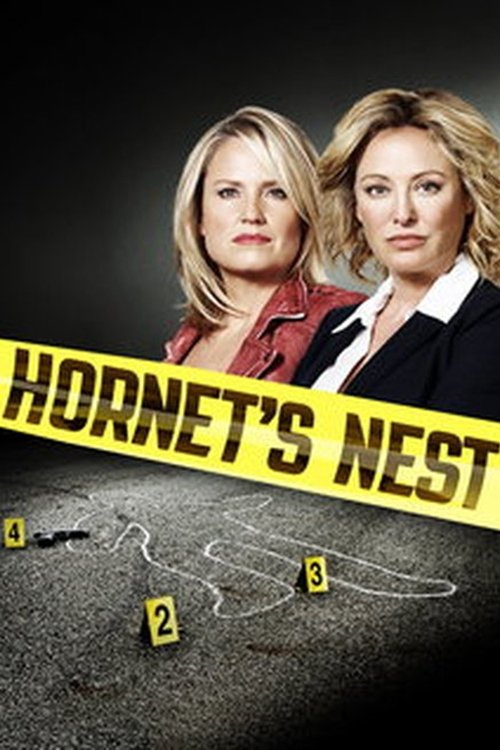 Hornet’s Nest poster