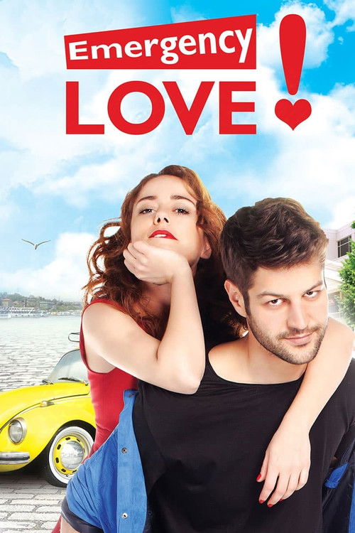 Emergency Love poster