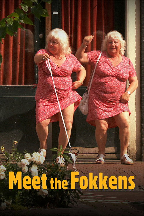 Meet the Fokkens poster