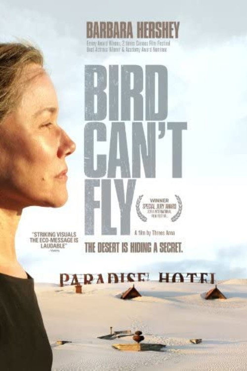 The Bird Can’t Fly poster