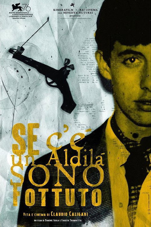 Se c’è un aldilà sono fottuto – Vita e cinema di Claudio Caligari poster