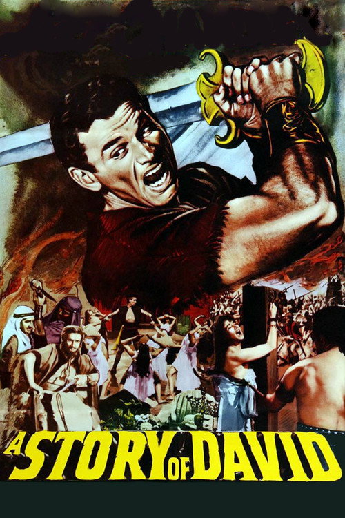 A Story of David poster