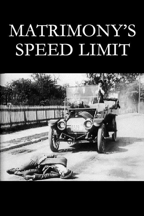 Matrimony’s Speed Limit poster