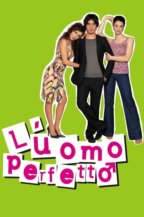 L’uomo perfetto poster