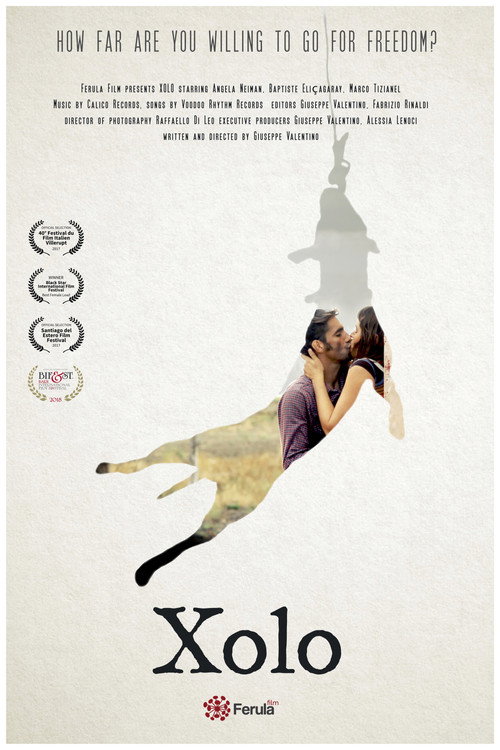 Xolo poster