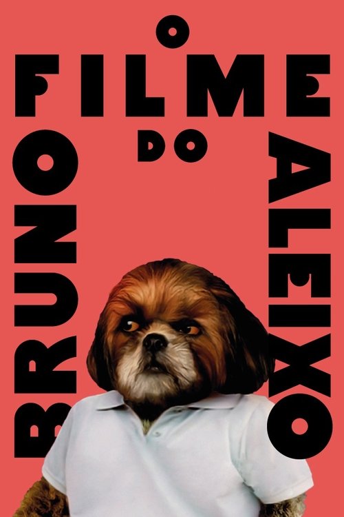 Bruno Aleixo’s Film poster