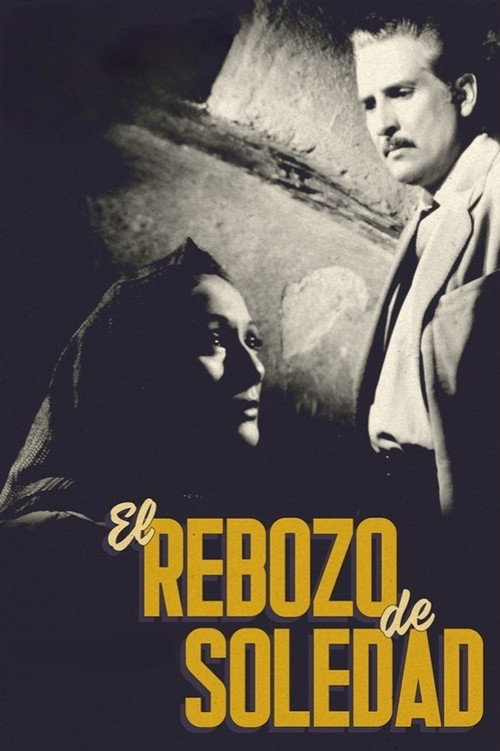 Soledad’s Shawl poster