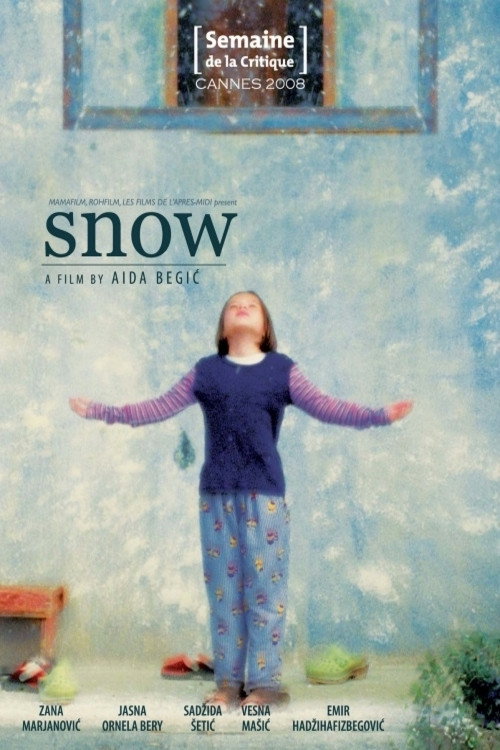 Snow poster