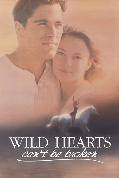 Wild Hearts Can’t Be Broken poster