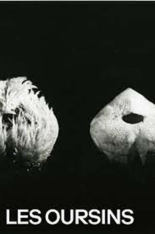 Sea Urchins poster
