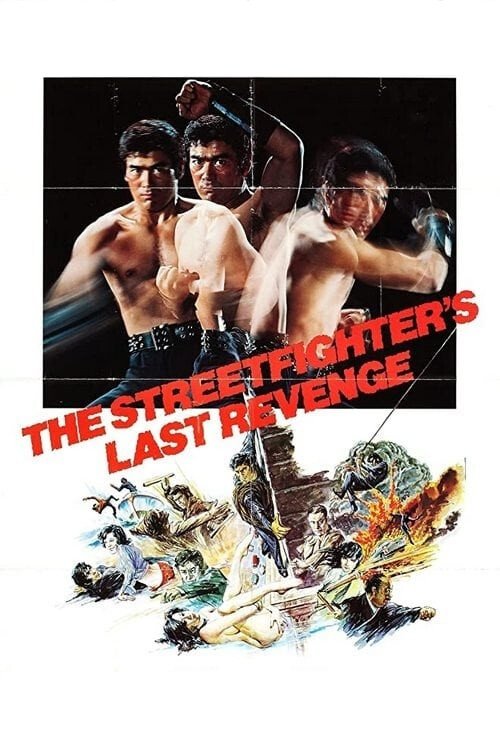 The Street Fighter’s Last Revenge poster