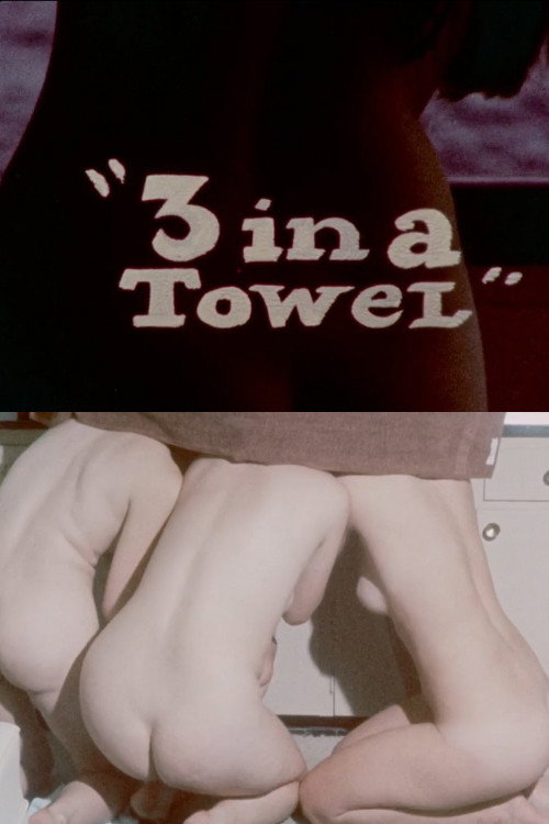 3 in a Towel poster