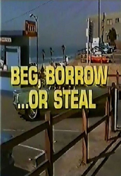 Beg, Borrow…or Steal poster